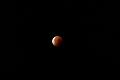 D_20150928-052942 IMG_0558